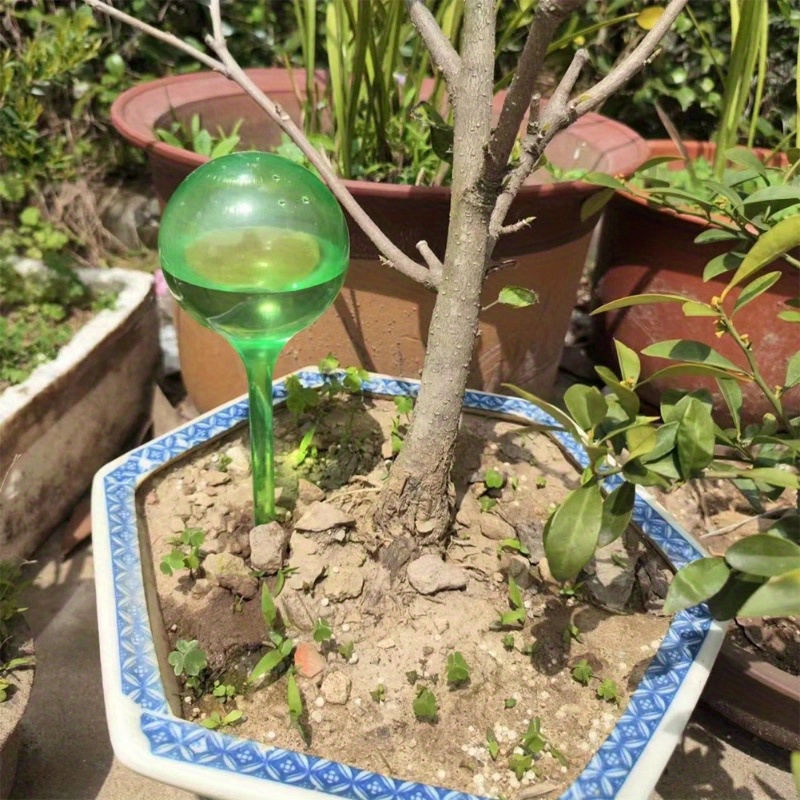 6 قطع من كرات الري الذاتي للنب - مراجعة Plant Parent Kit وسعره