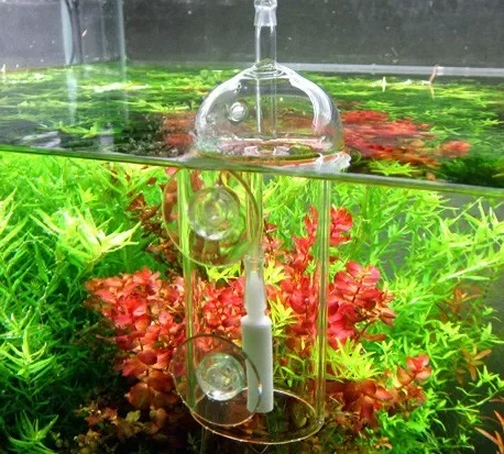 VIV Do جهاز حوض السمك اسطوانة  - مراجعة Plant Parent وسعره